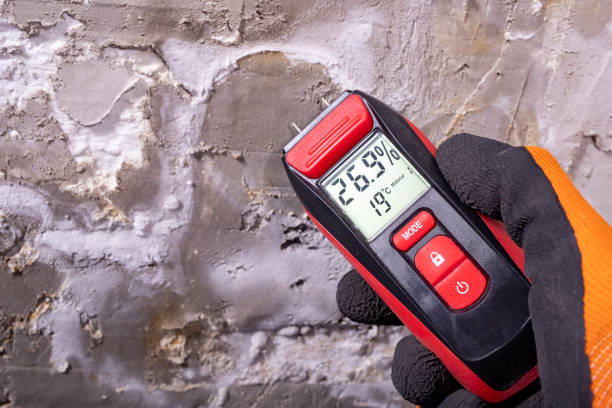 Best Crawl Space Mold Removal  in Sweetser, IN