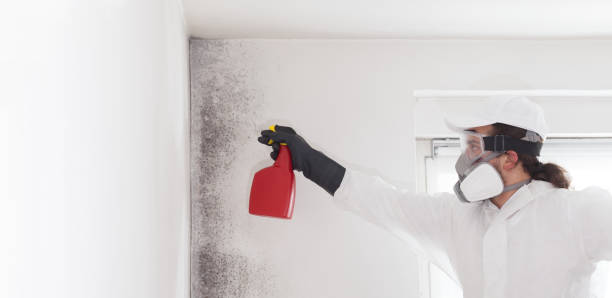 Best Certified Mold Removal  in Sweetser, IN